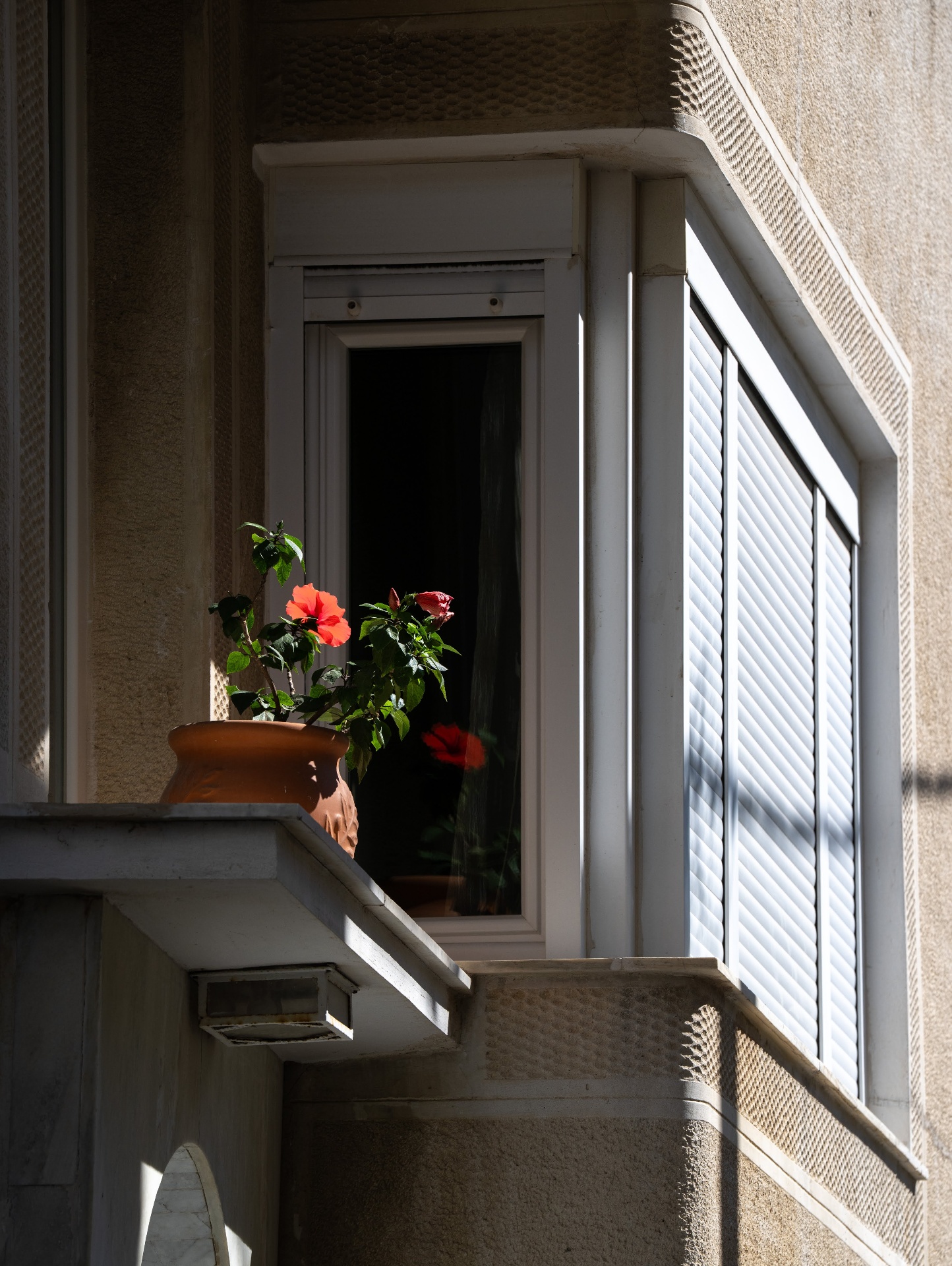 A balcony, hibiscus in clay